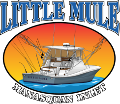 Little Mule Sport Fishing Charters